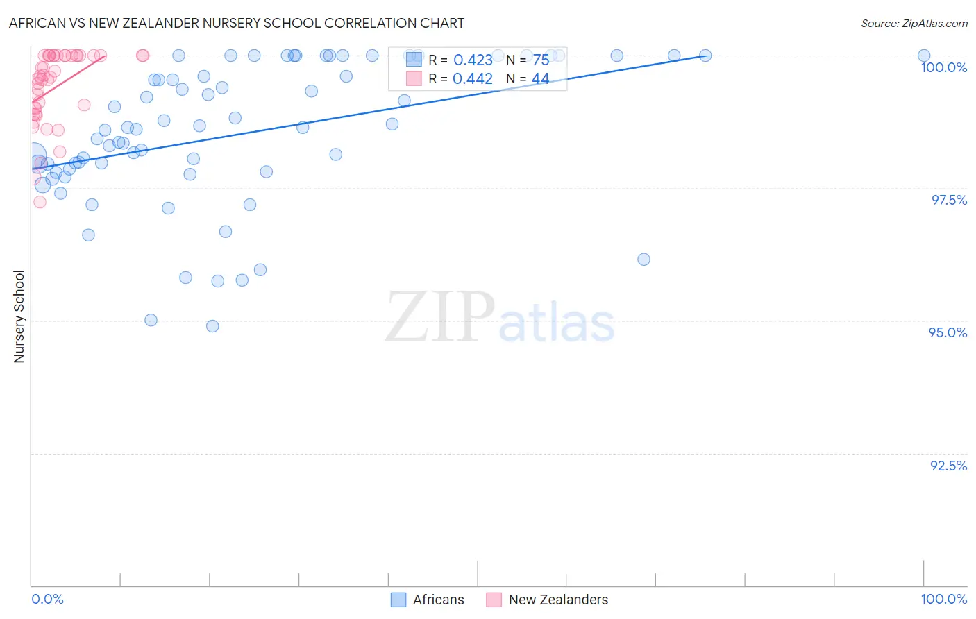 African vs New Zealander Nursery School
