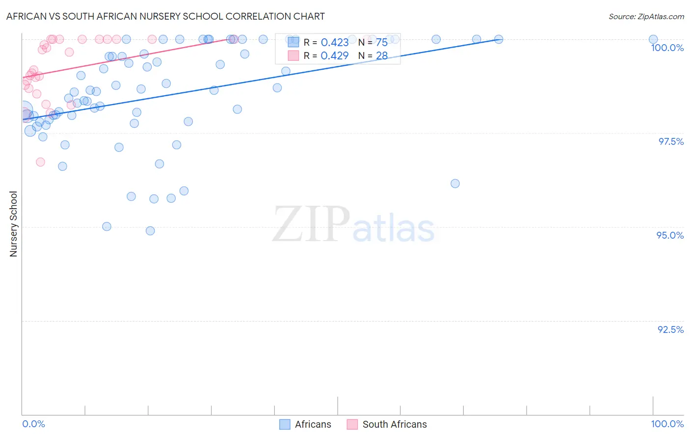 African vs South African Nursery School