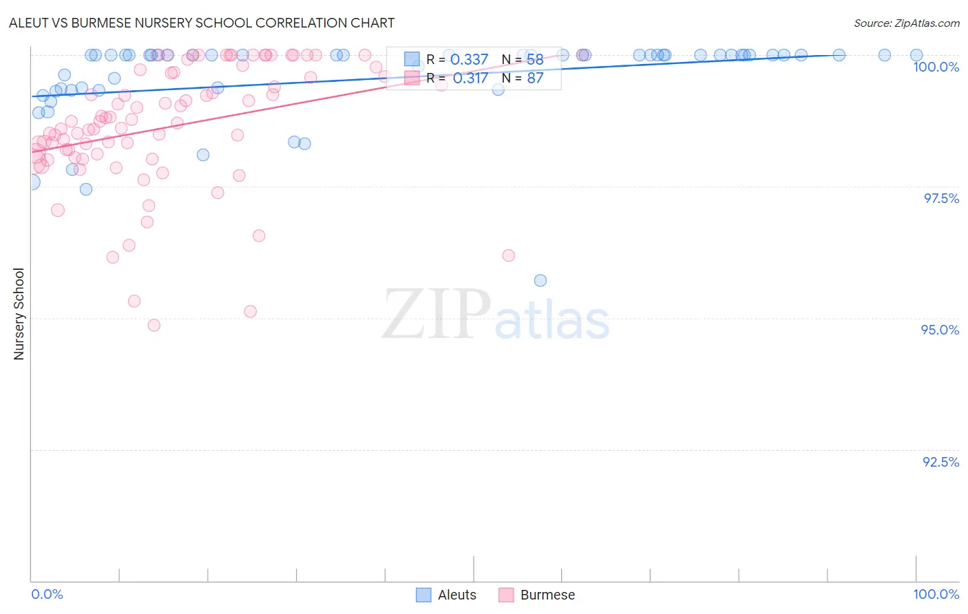 Aleut vs Burmese Nursery School