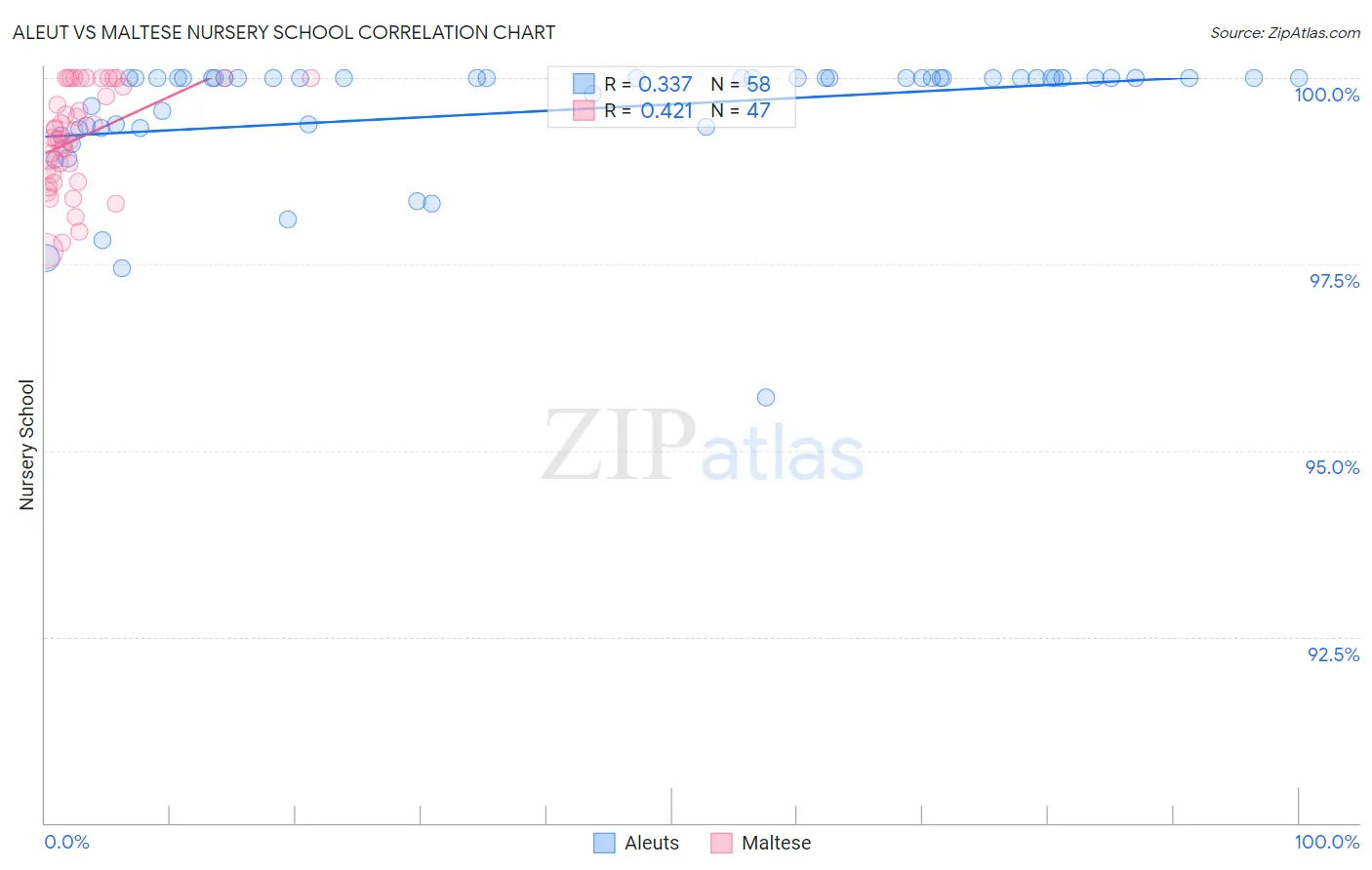 Aleut vs Maltese Nursery School