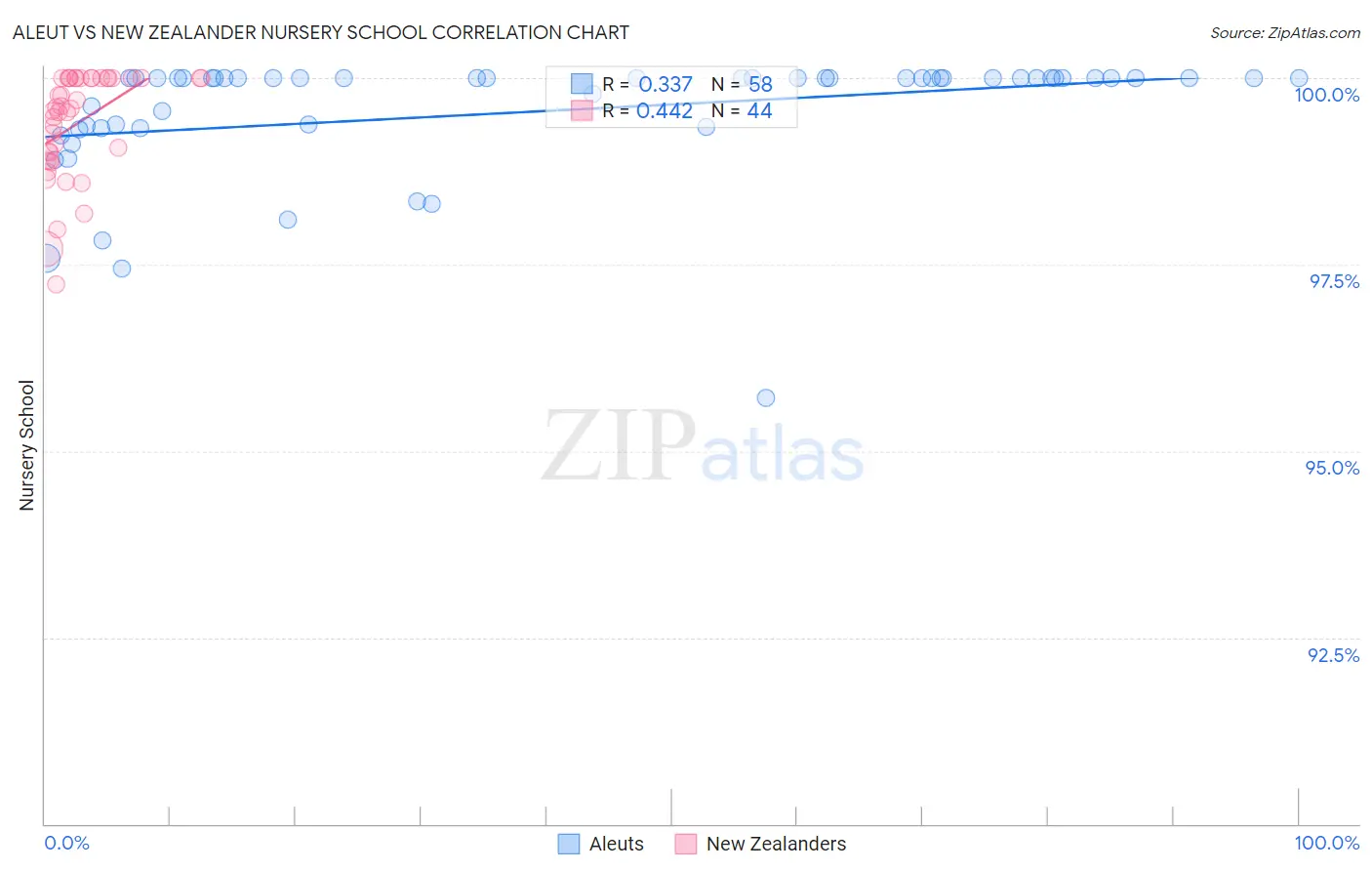 Aleut vs New Zealander Nursery School