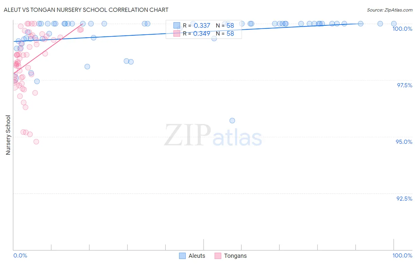 Aleut vs Tongan Nursery School