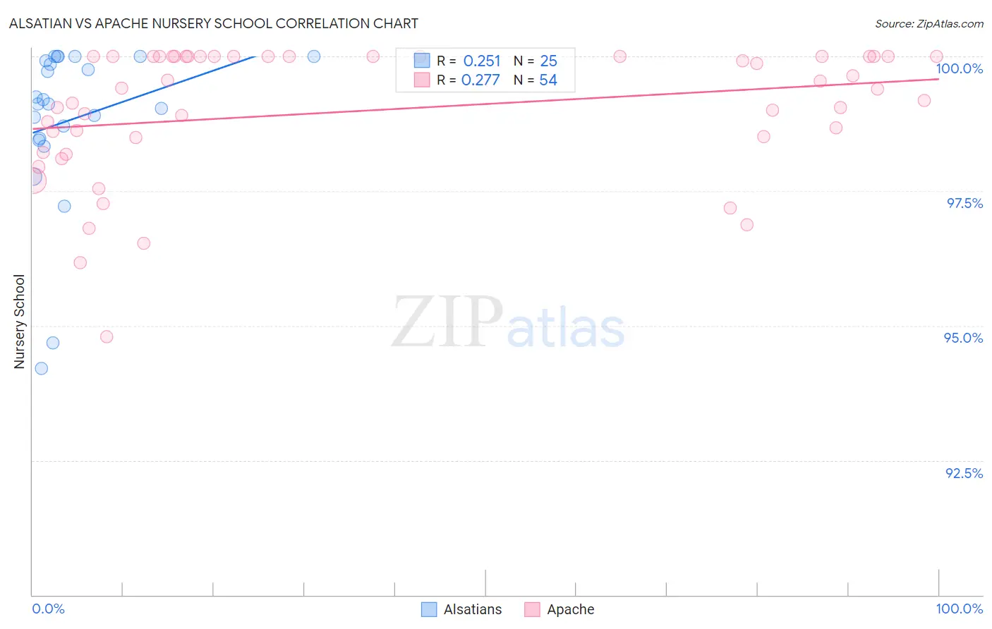 Alsatian vs Apache Nursery School