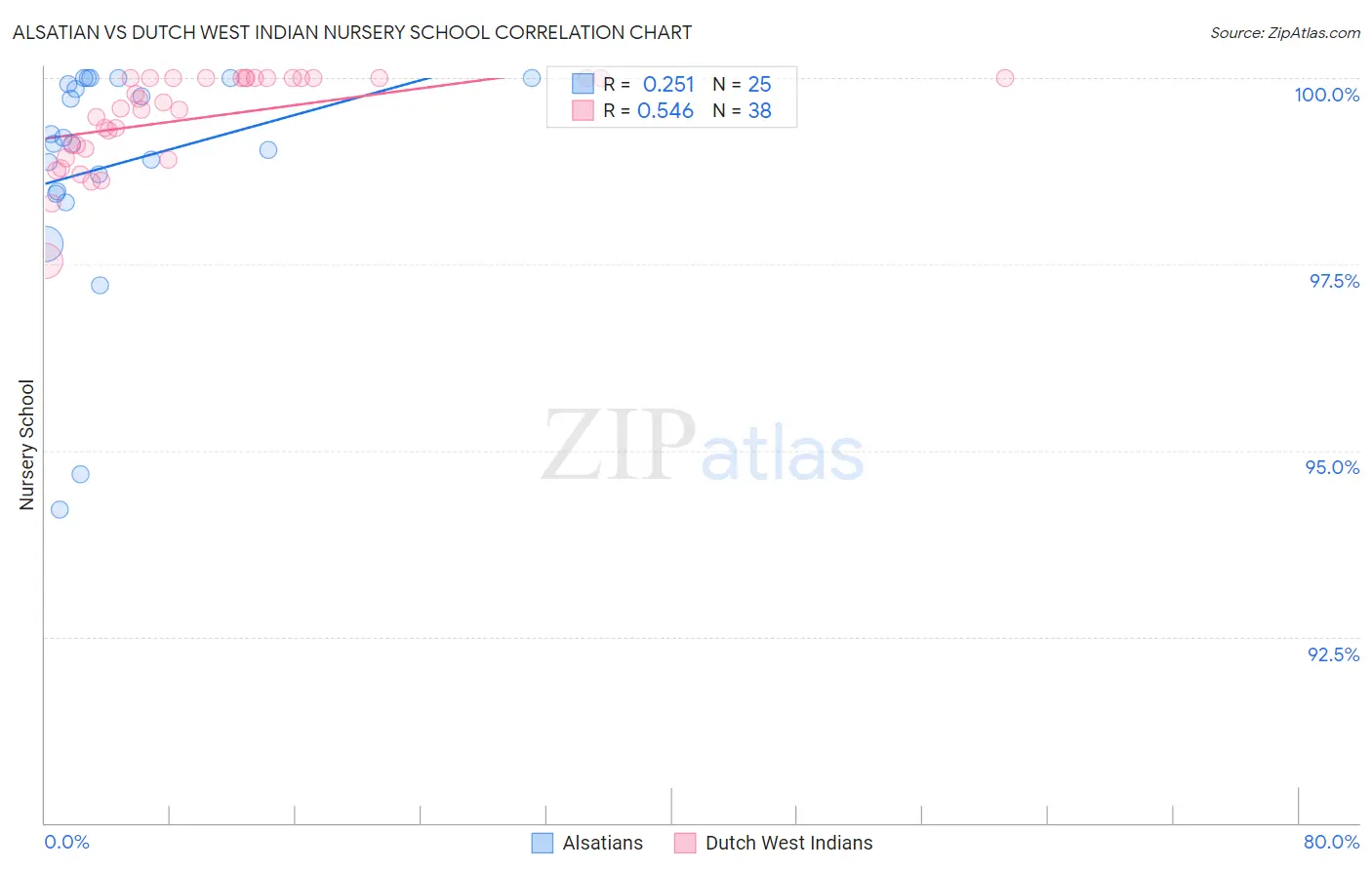 Alsatian vs Dutch West Indian Nursery School