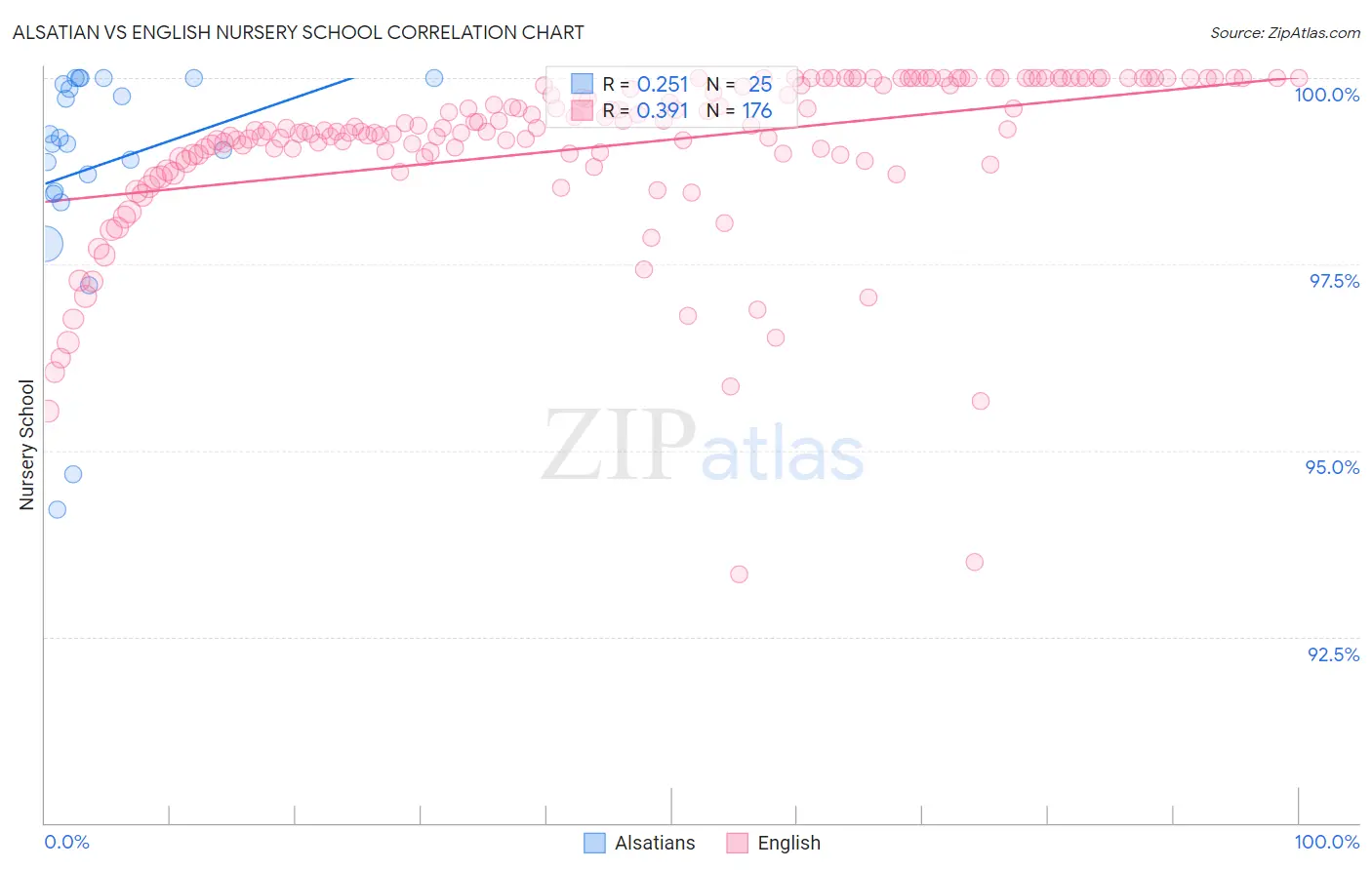 Alsatian vs English Nursery School