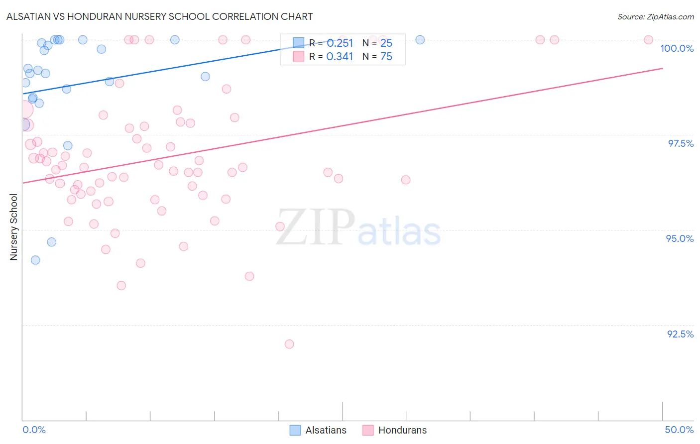 Alsatian vs Honduran Nursery School
