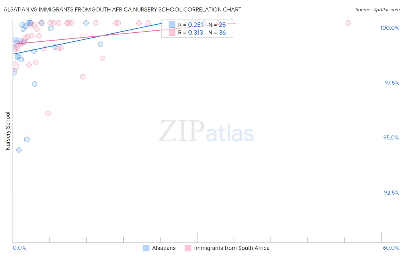 Alsatian vs Immigrants from South Africa Nursery School