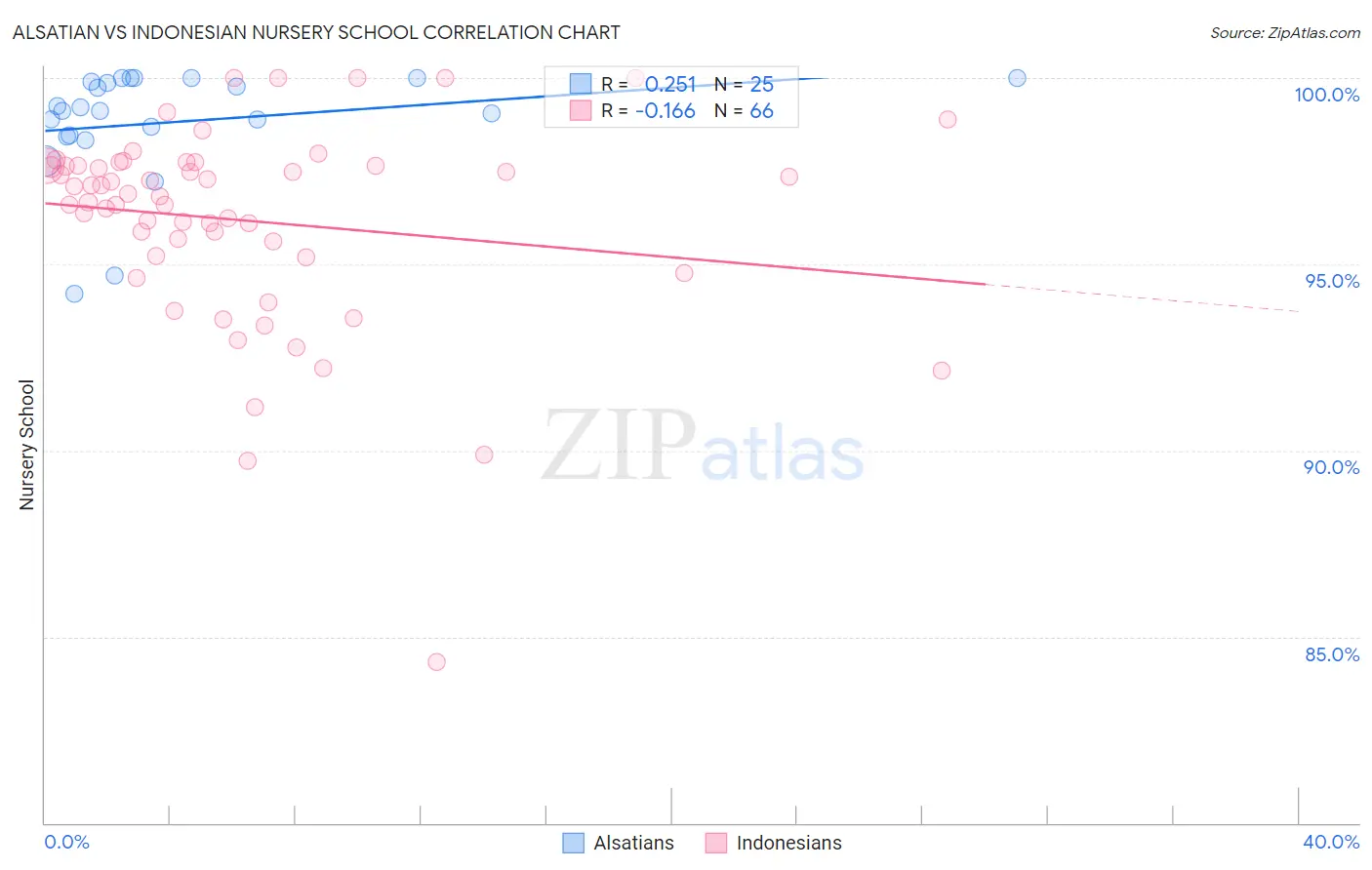 Alsatian vs Indonesian Nursery School