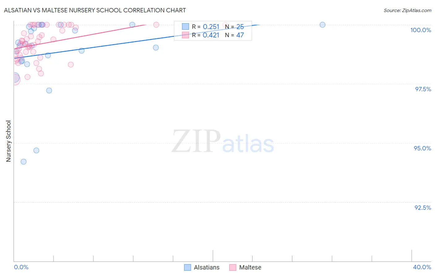 Alsatian vs Maltese Nursery School