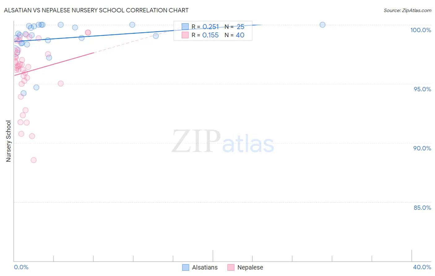 Alsatian vs Nepalese Nursery School