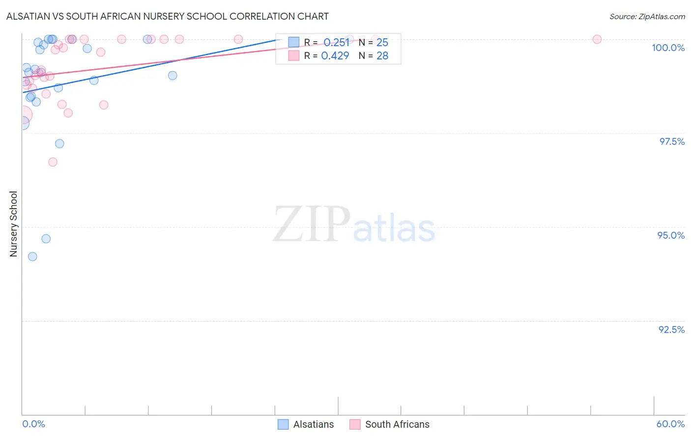 Alsatian vs South African Nursery School