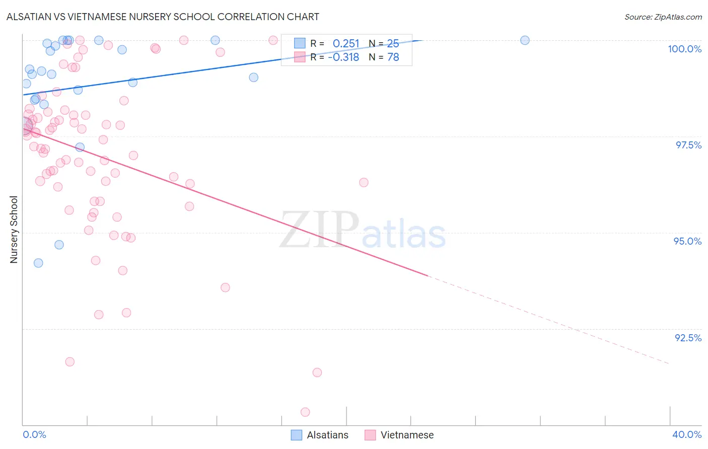 Alsatian vs Vietnamese Nursery School