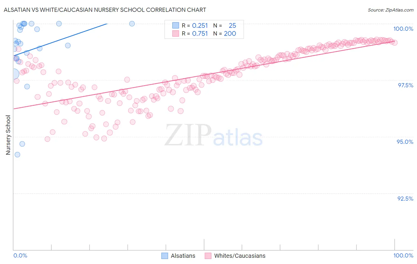 Alsatian vs White/Caucasian Nursery School