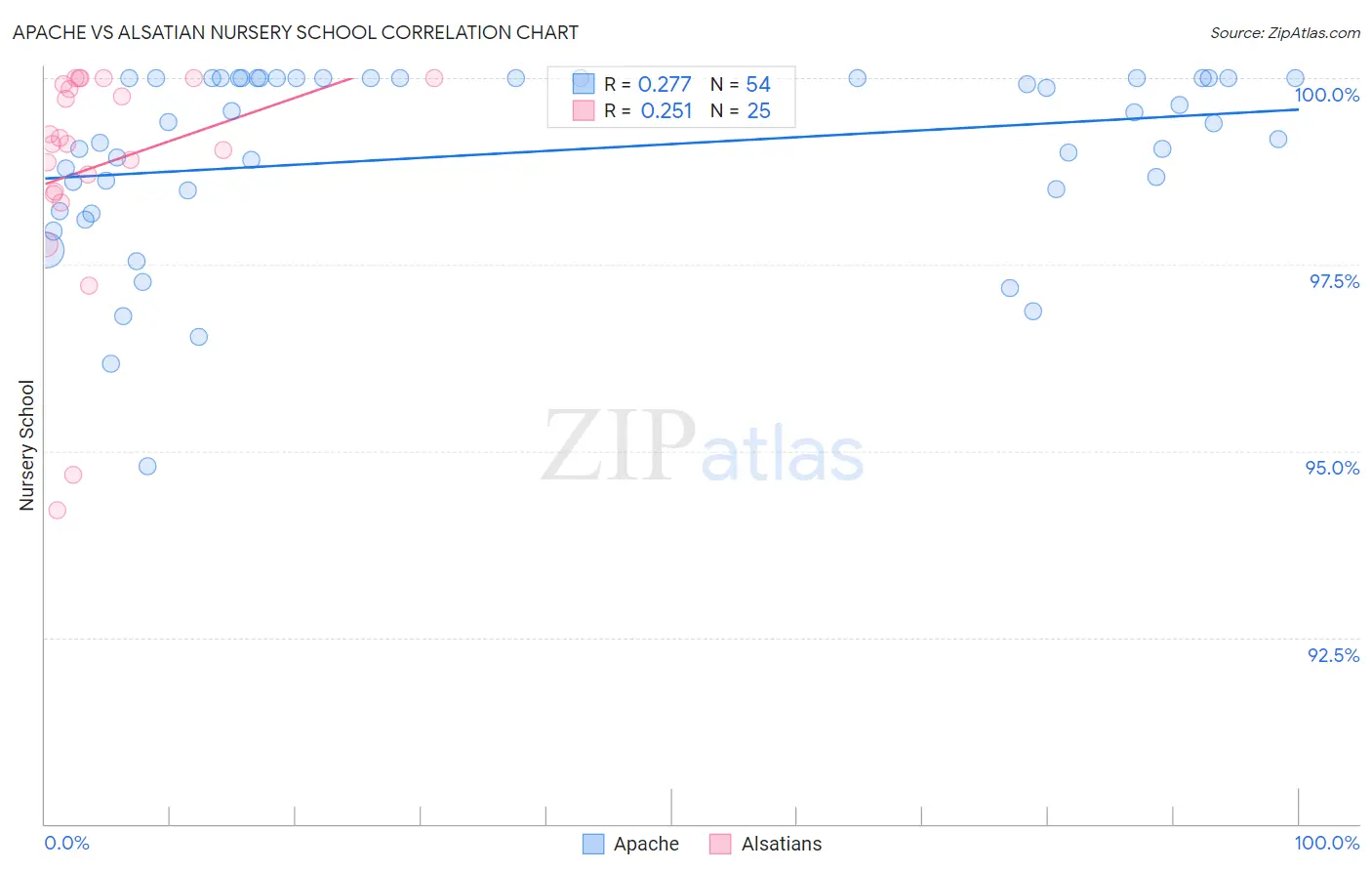 Apache vs Alsatian Nursery School