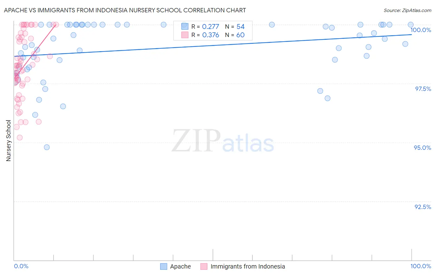 Apache vs Immigrants from Indonesia Nursery School