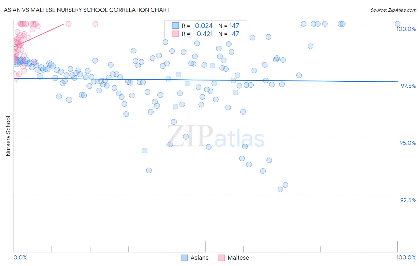 Asian vs Maltese Nursery School
