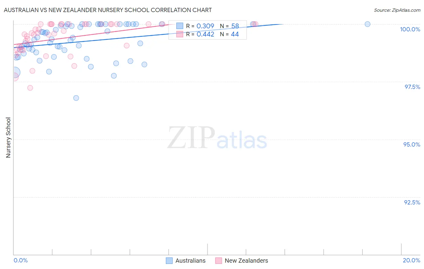 Australian vs New Zealander Nursery School