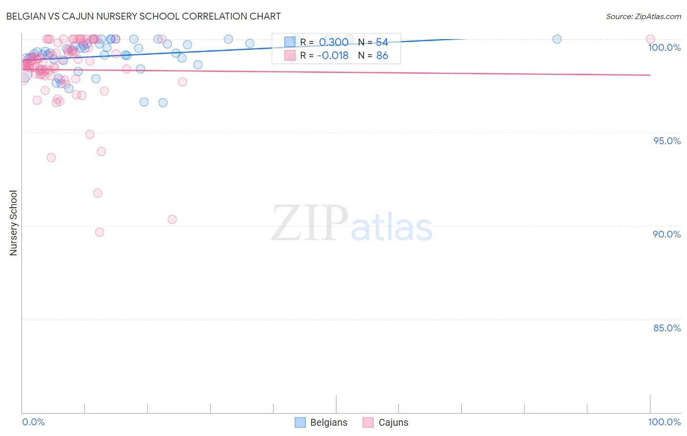 Belgian vs Cajun Nursery School