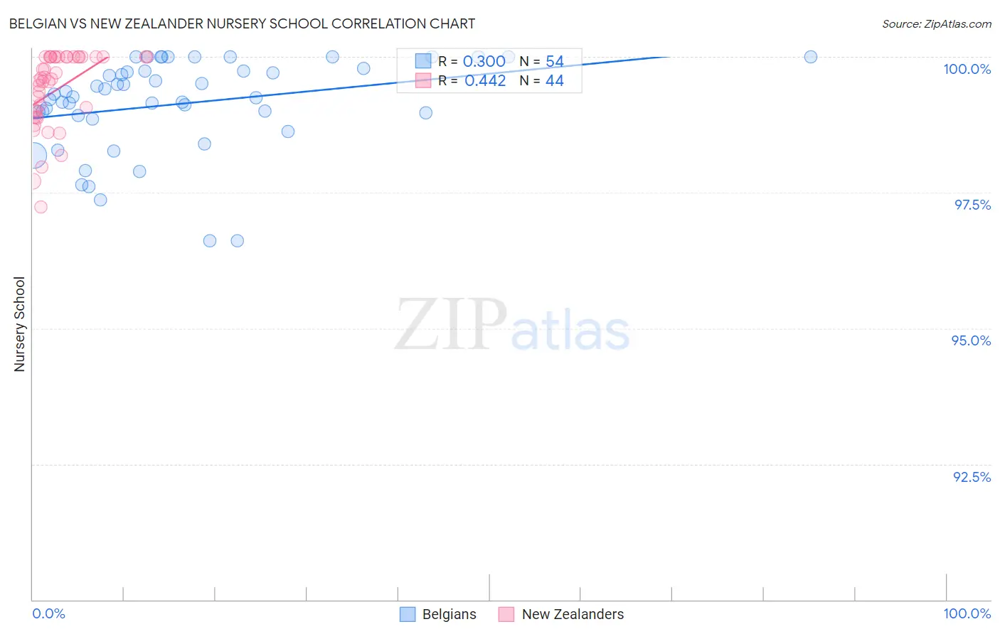 Belgian vs New Zealander Nursery School