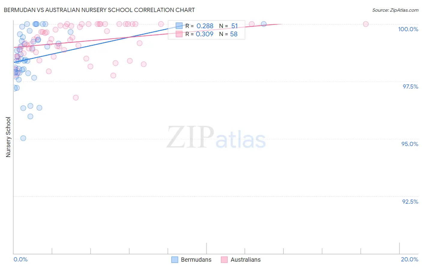 Bermudan vs Australian Nursery School