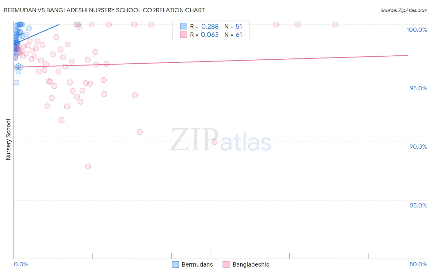 Bermudan vs Bangladeshi Nursery School