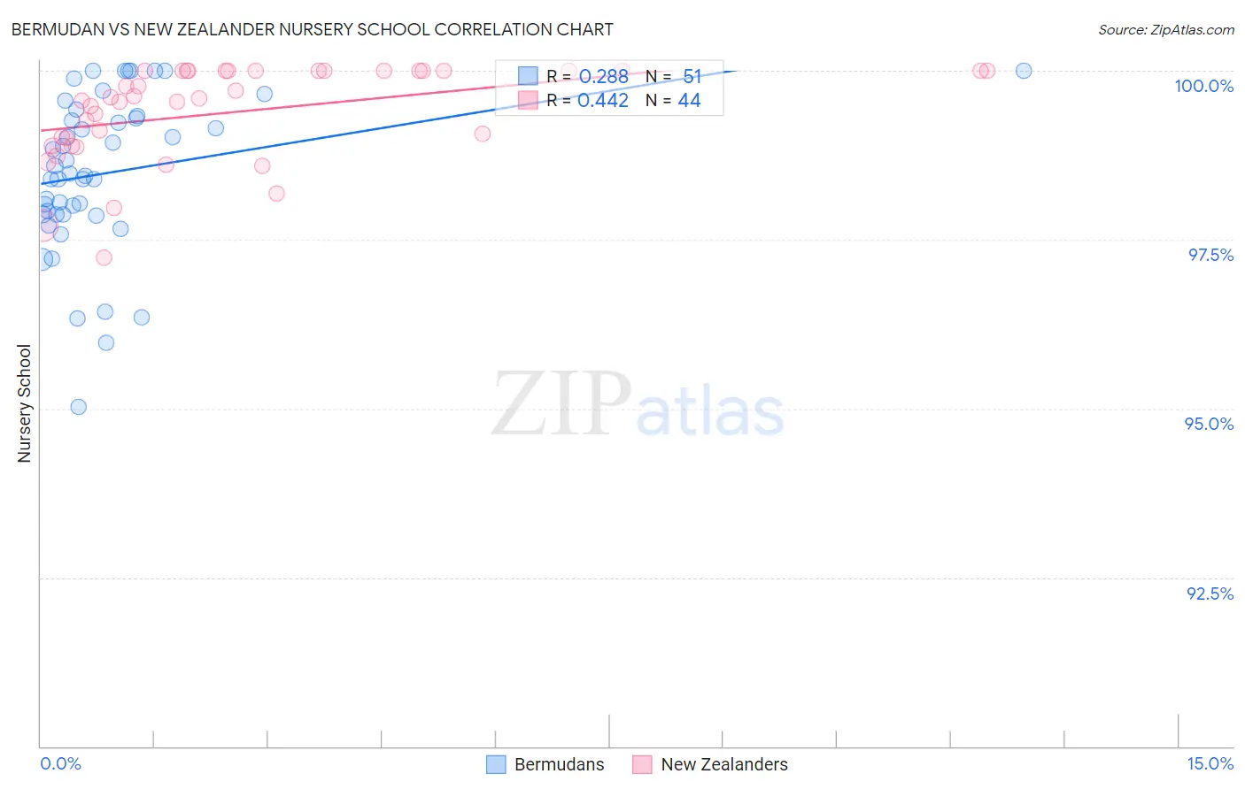 Bermudan vs New Zealander Nursery School