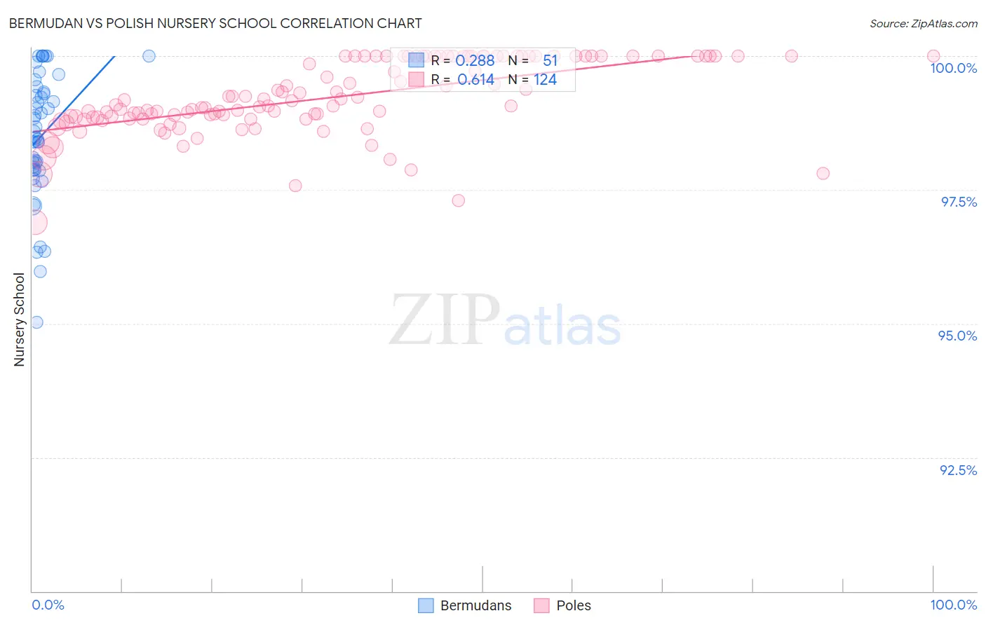 Bermudan vs Polish Nursery School