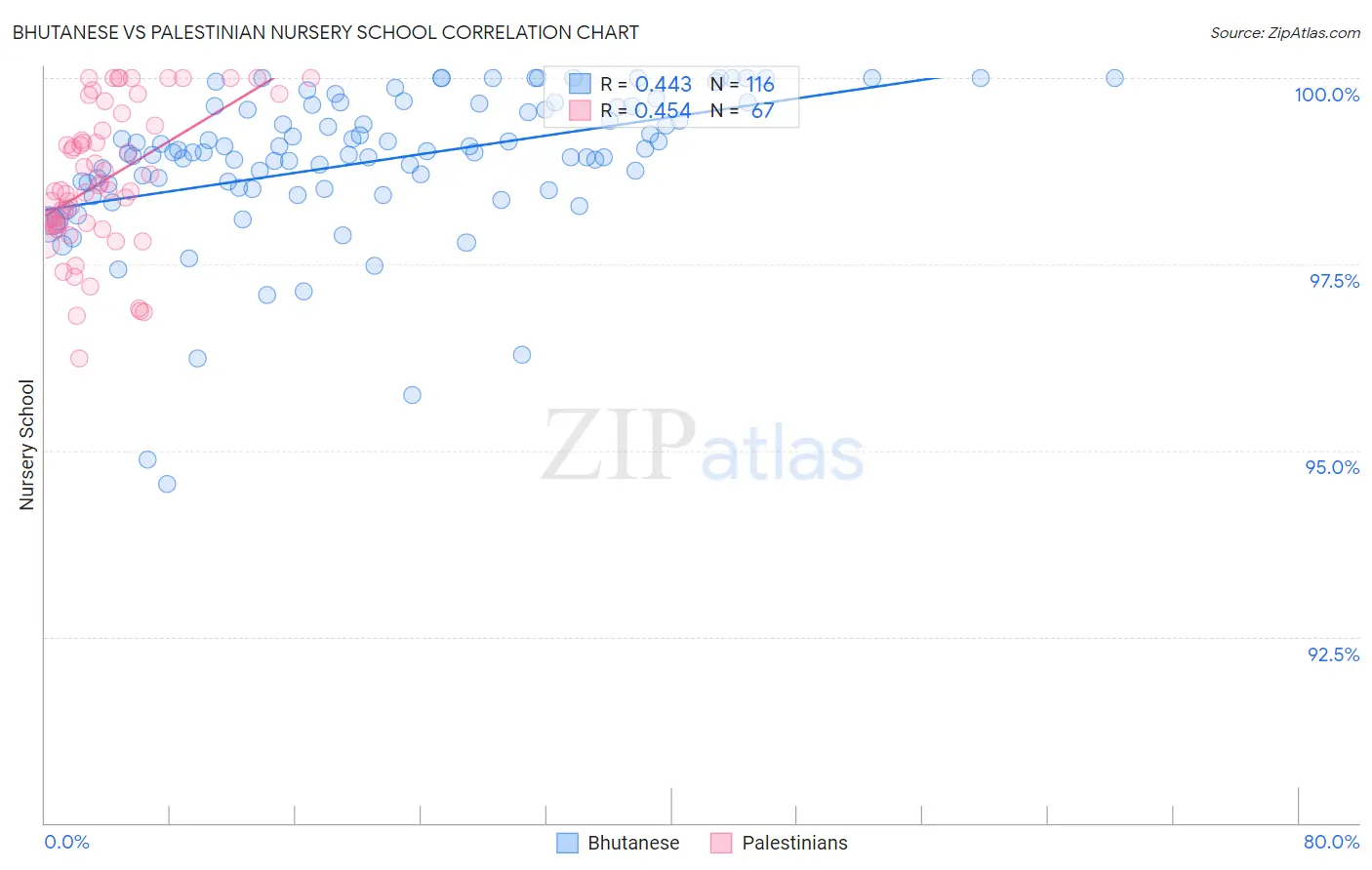 Bhutanese vs Palestinian Nursery School