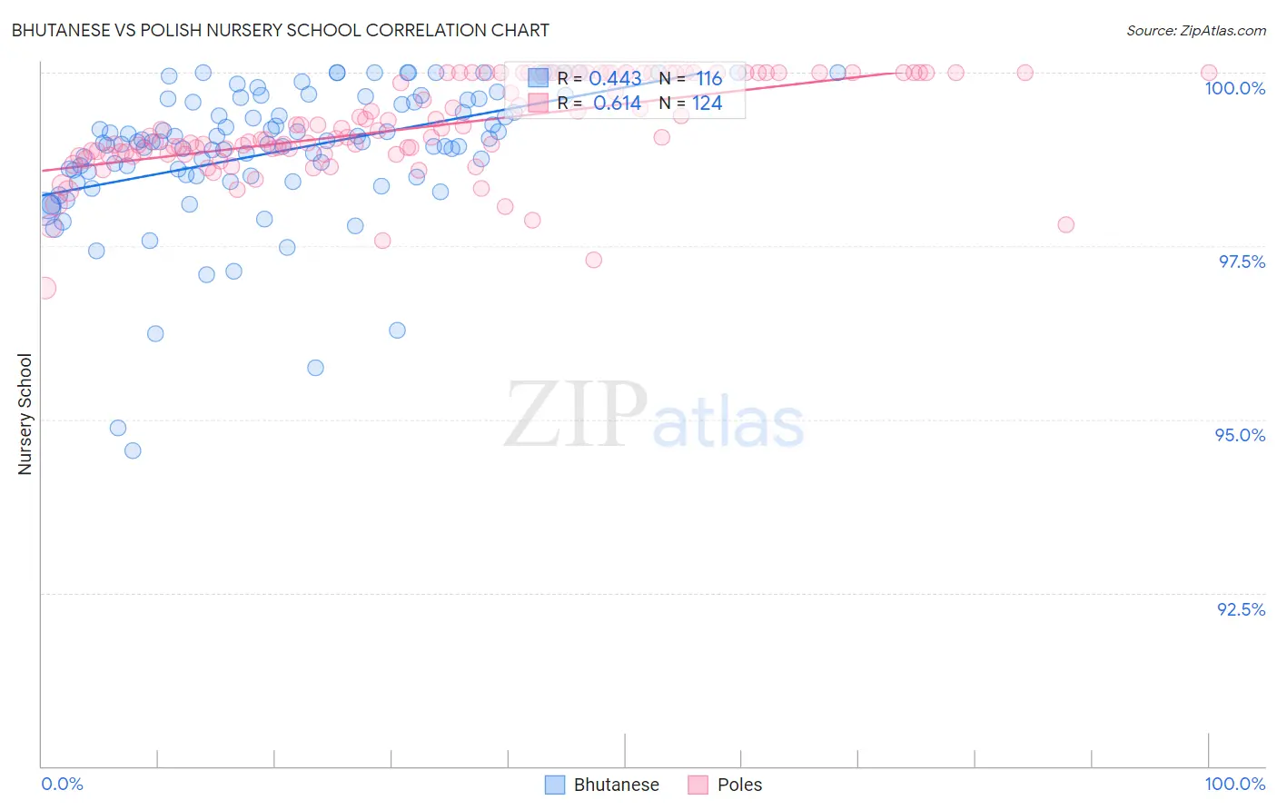 Bhutanese vs Polish Nursery School