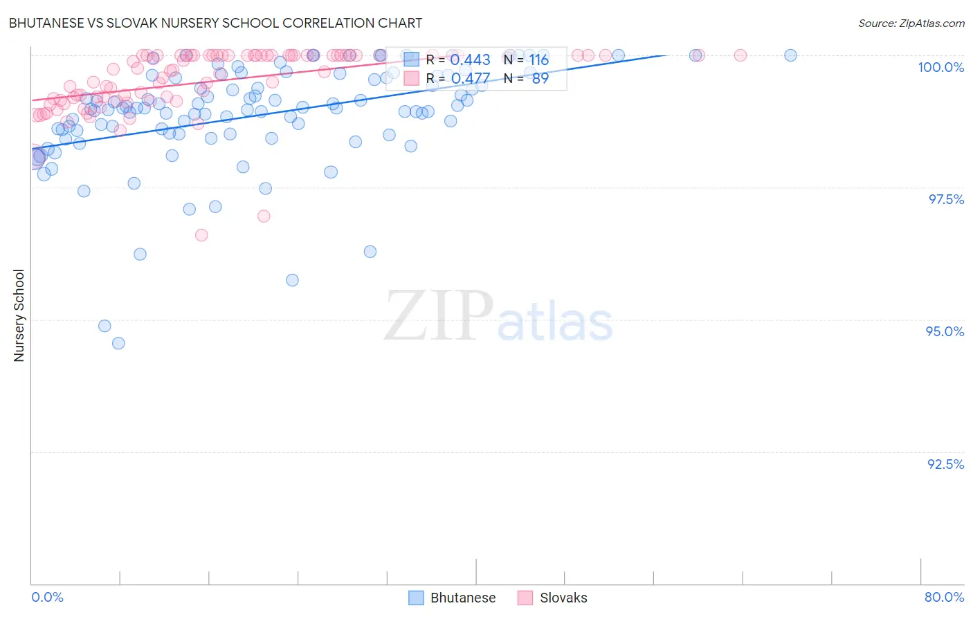 Bhutanese vs Slovak Nursery School