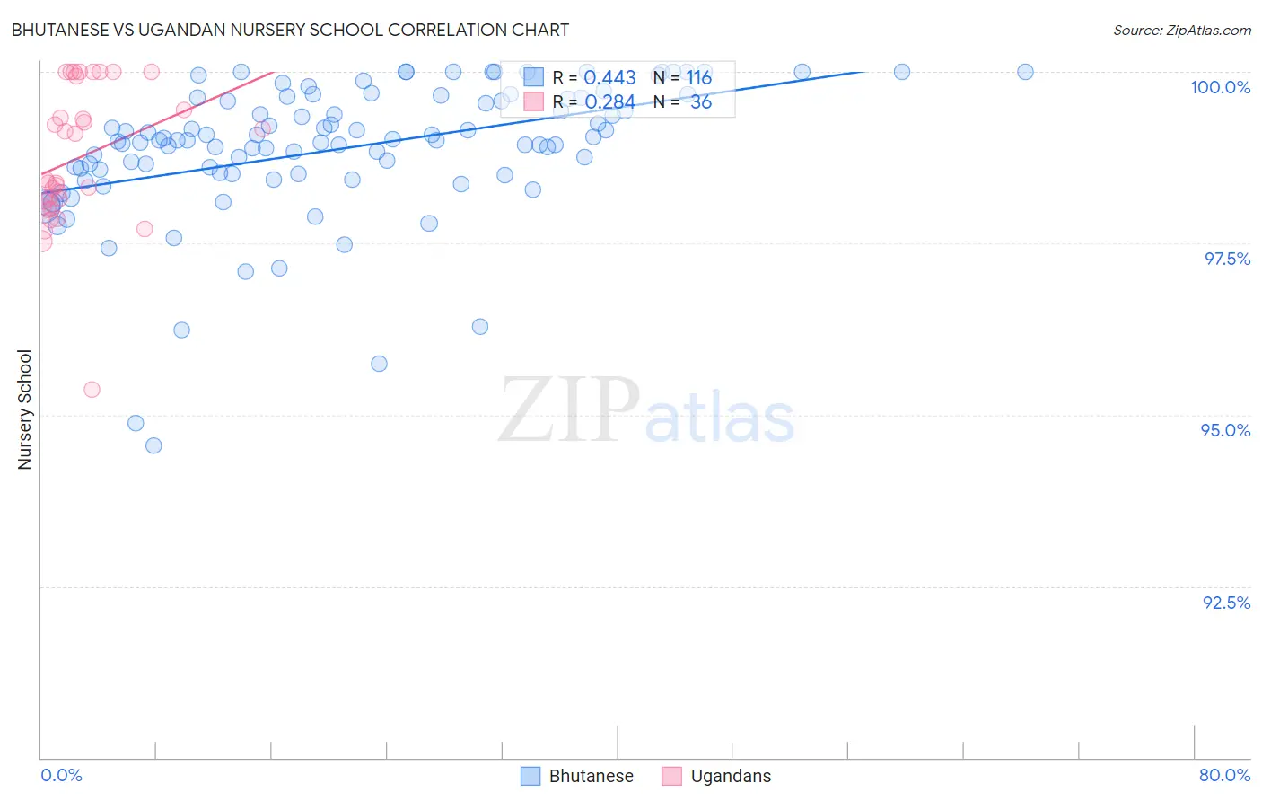 Bhutanese vs Ugandan Nursery School