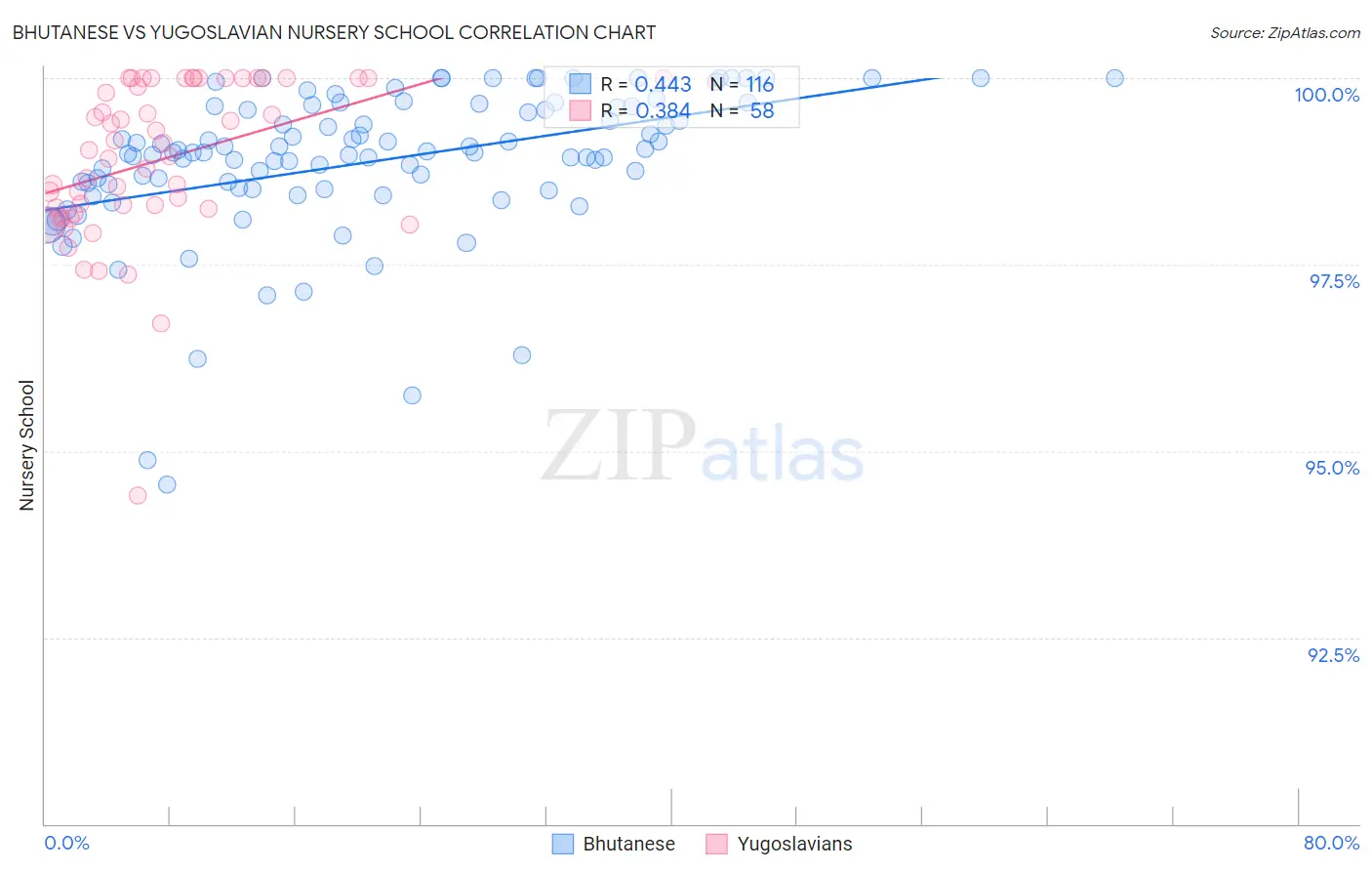 Bhutanese vs Yugoslavian Nursery School