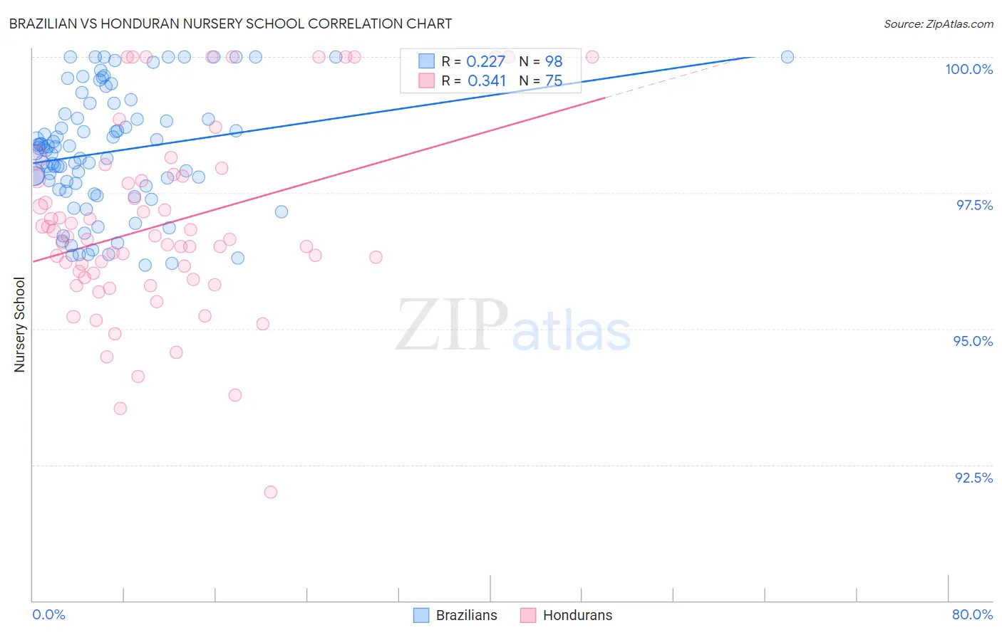 Brazilian vs Honduran Nursery School