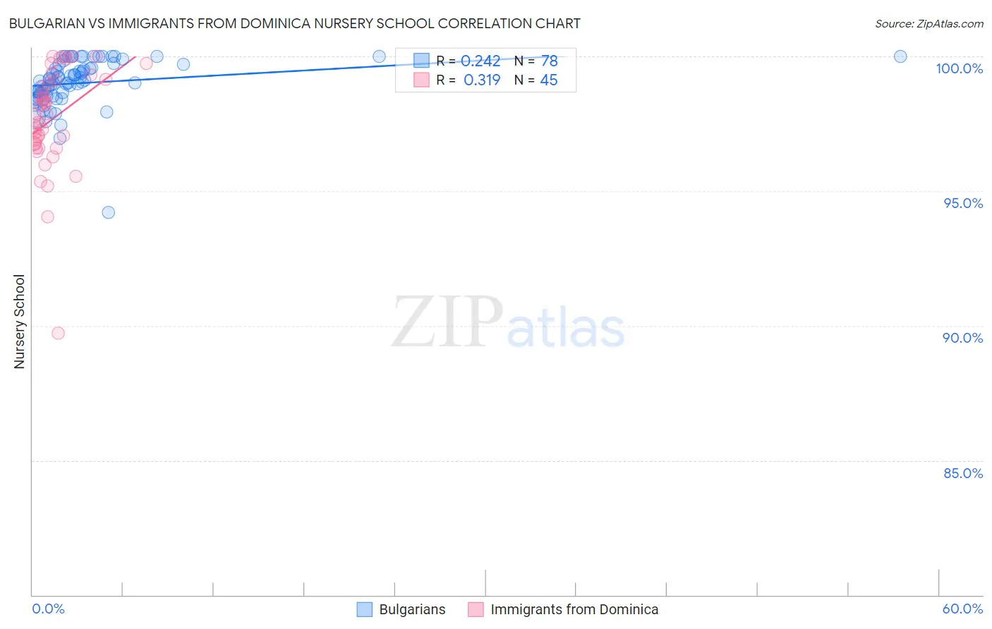 Bulgarian vs Immigrants from Dominica Nursery School