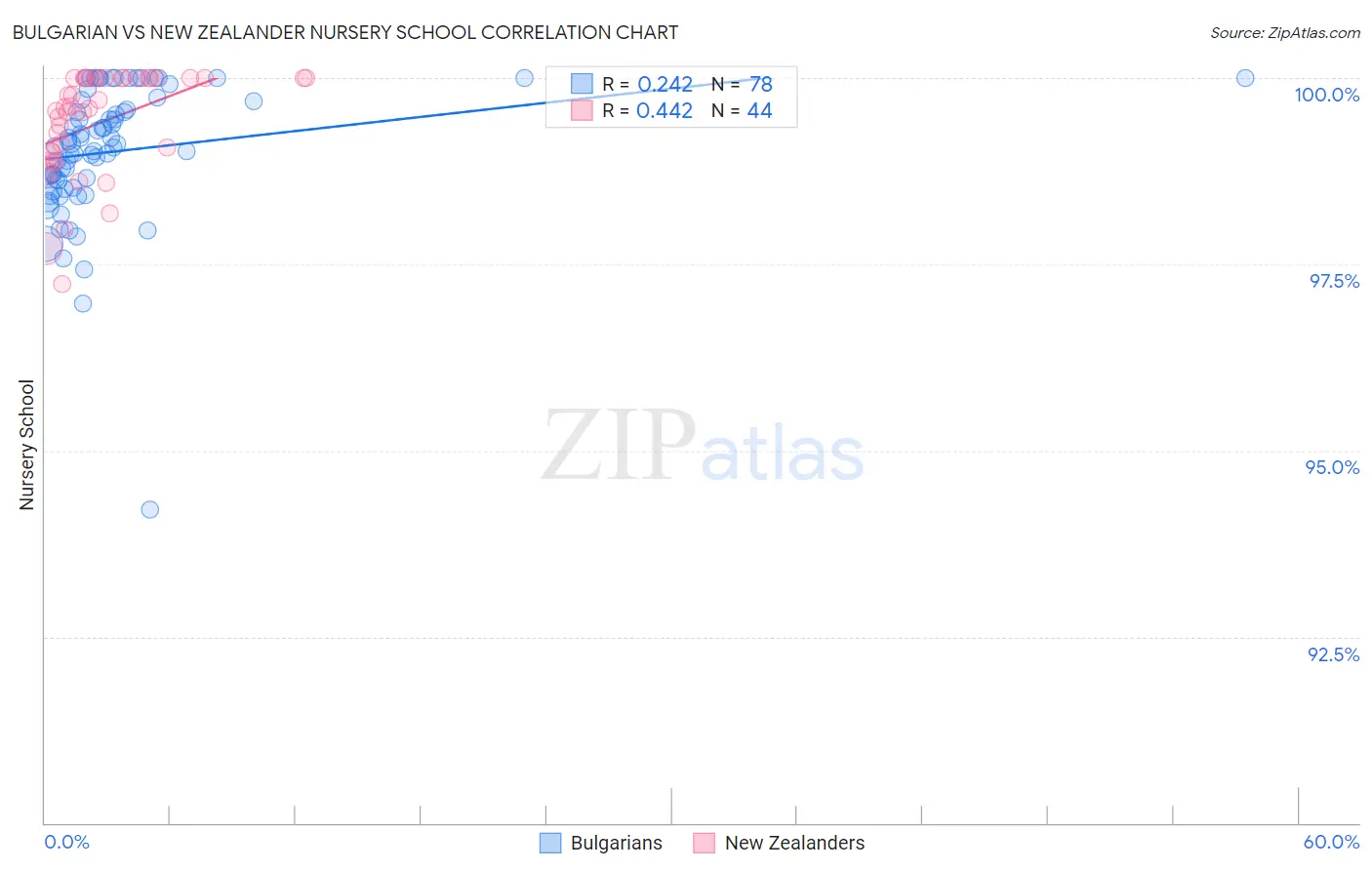 Bulgarian vs New Zealander Nursery School