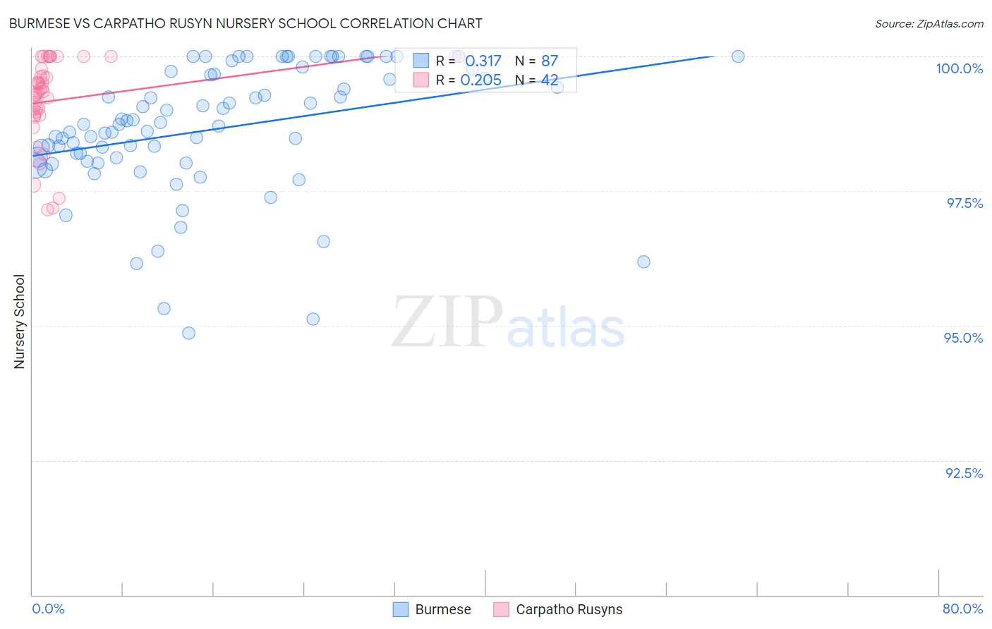 Burmese vs Carpatho Rusyn Nursery School