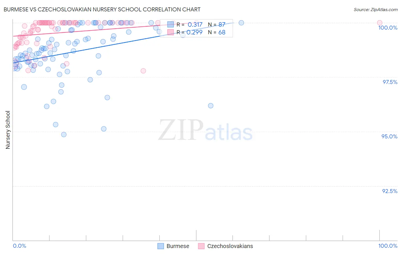 Burmese vs Czechoslovakian Nursery School