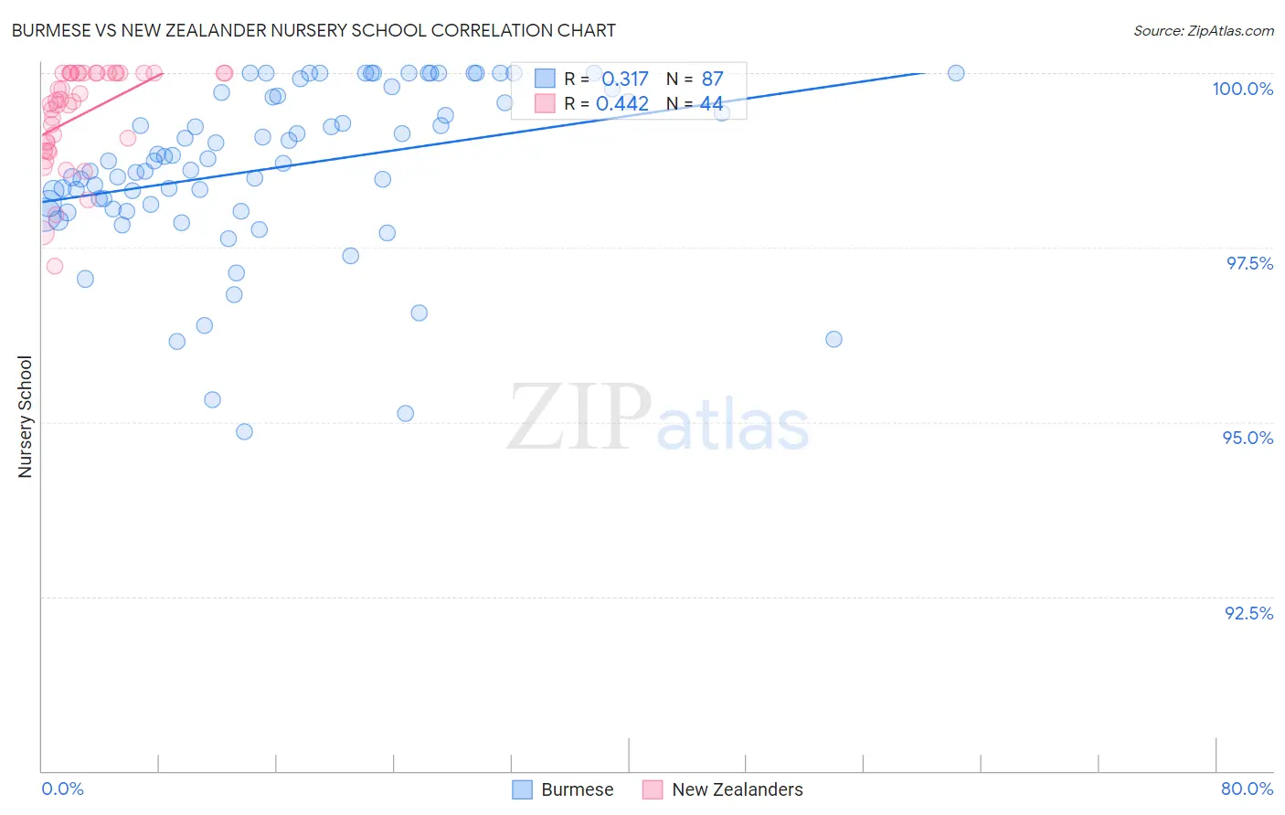 Burmese vs New Zealander Nursery School
