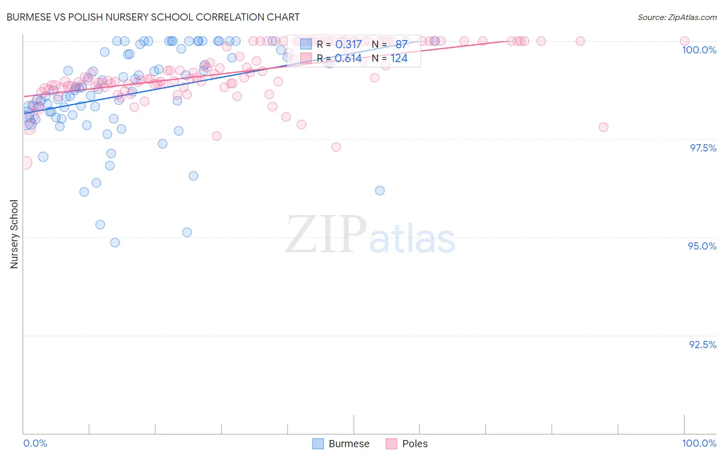 Burmese vs Polish Nursery School