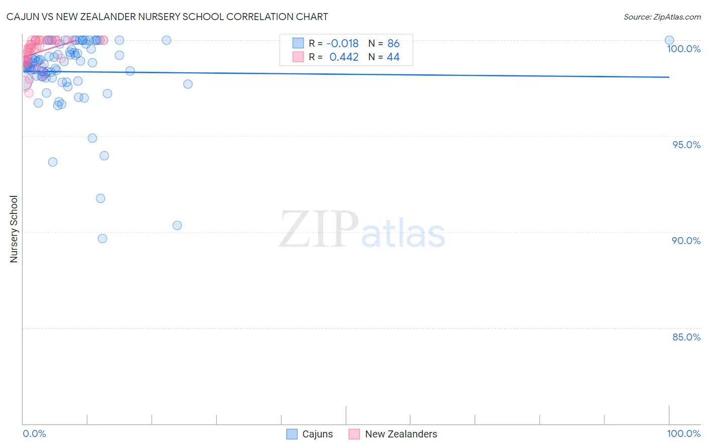 Cajun vs New Zealander Nursery School