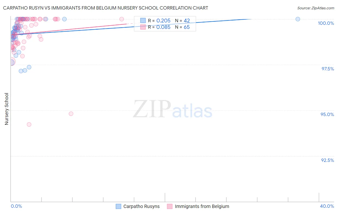 Carpatho Rusyn vs Immigrants from Belgium Nursery School