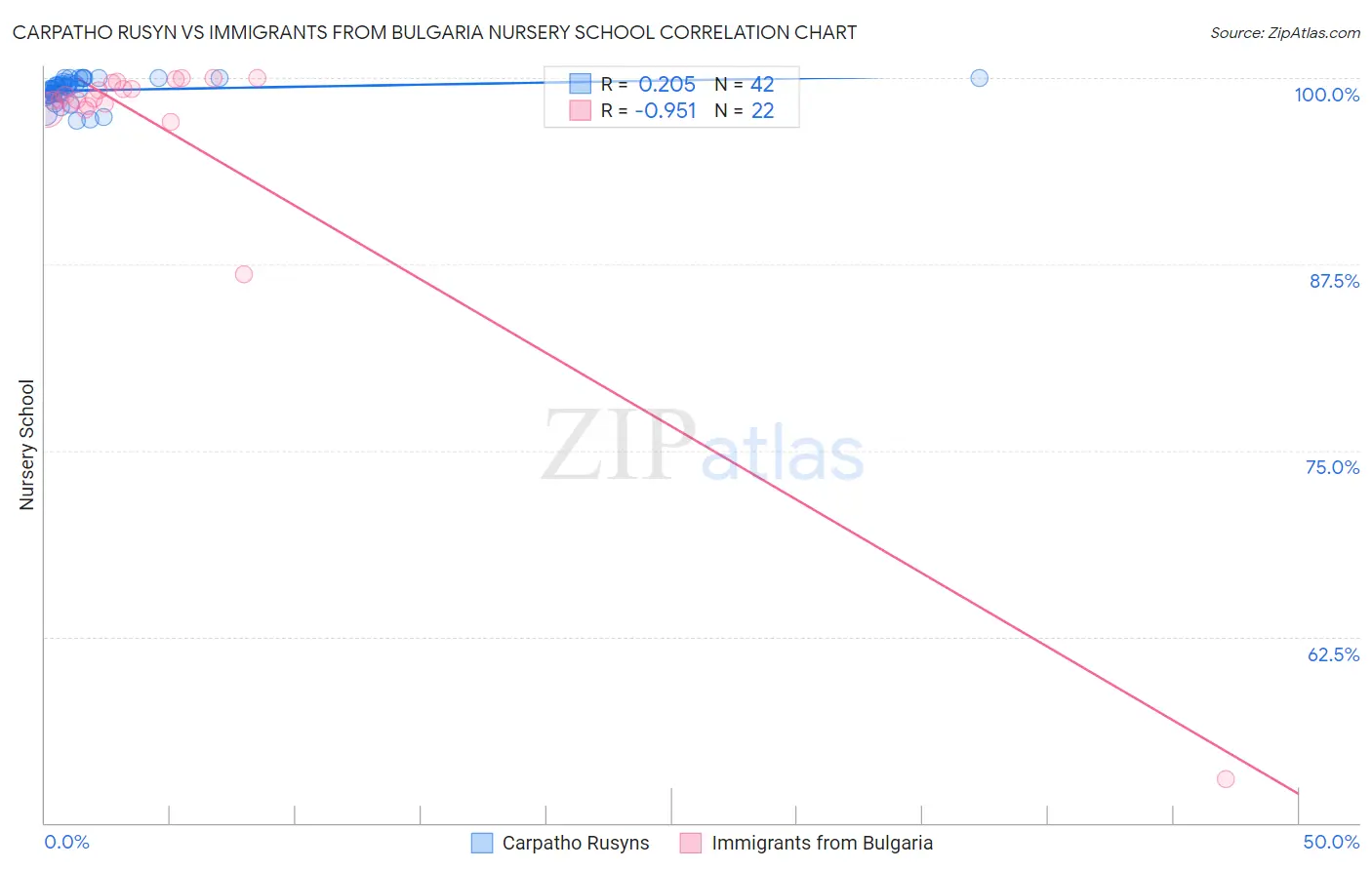 Carpatho Rusyn vs Immigrants from Bulgaria Nursery School