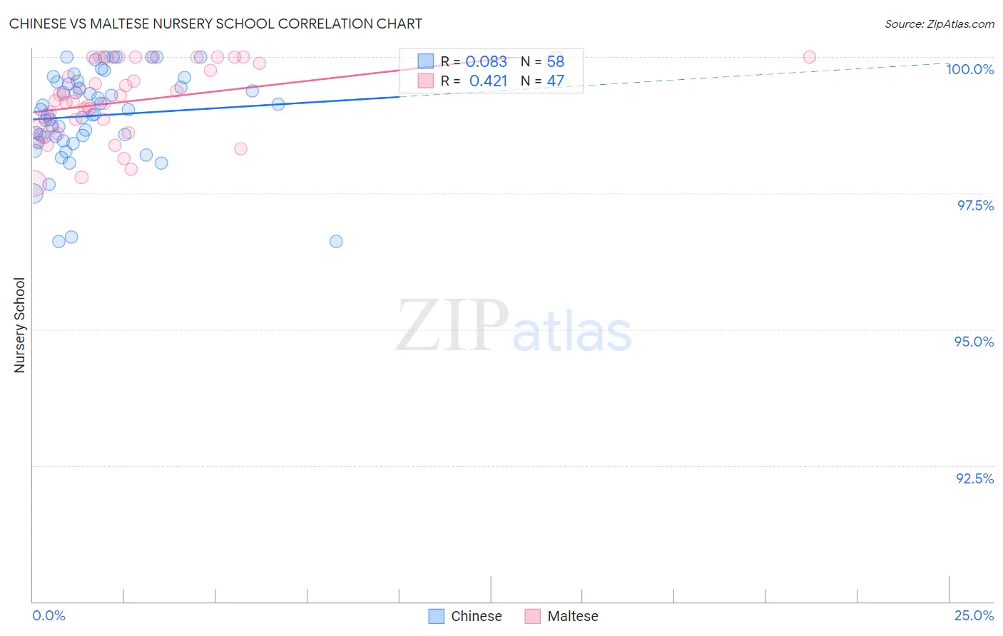 Chinese vs Maltese Nursery School