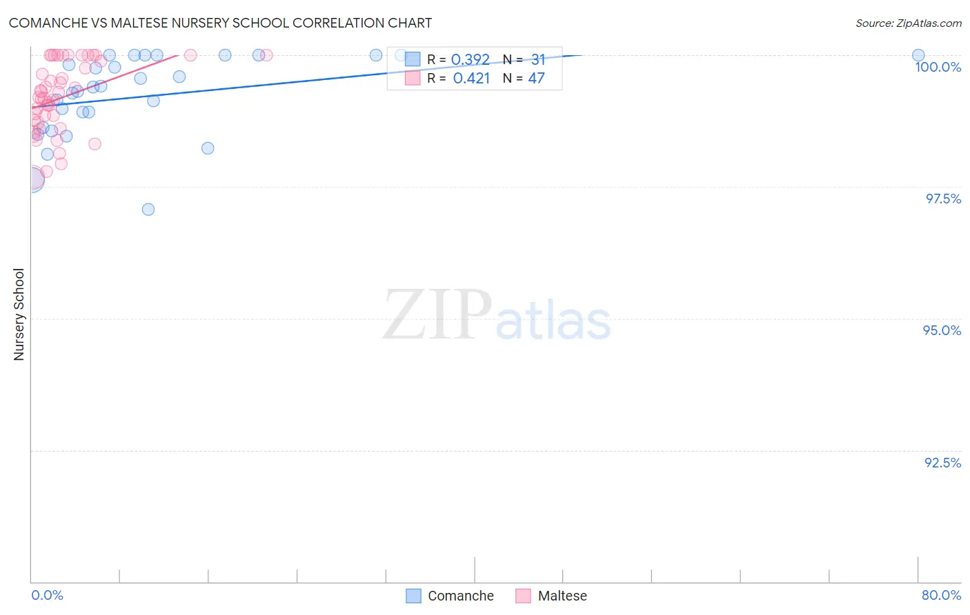 Comanche vs Maltese Nursery School