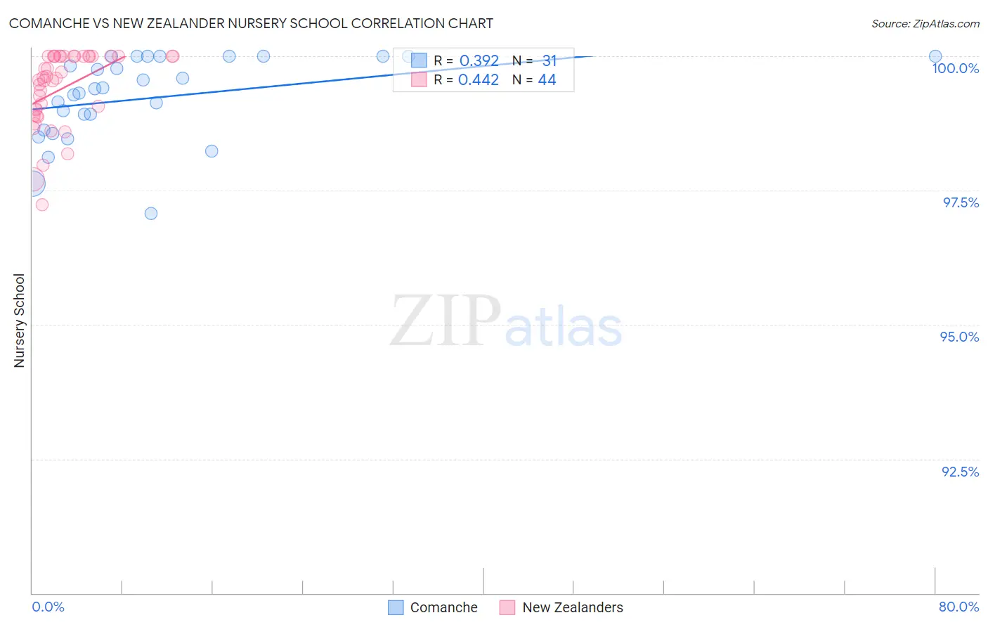 Comanche vs New Zealander Nursery School