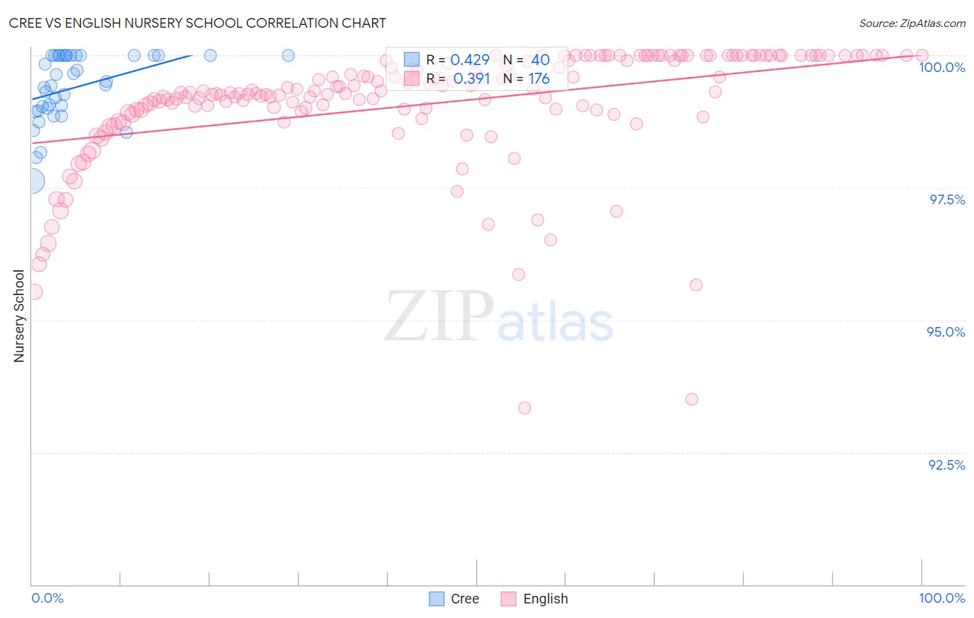 Cree vs English Nursery School
