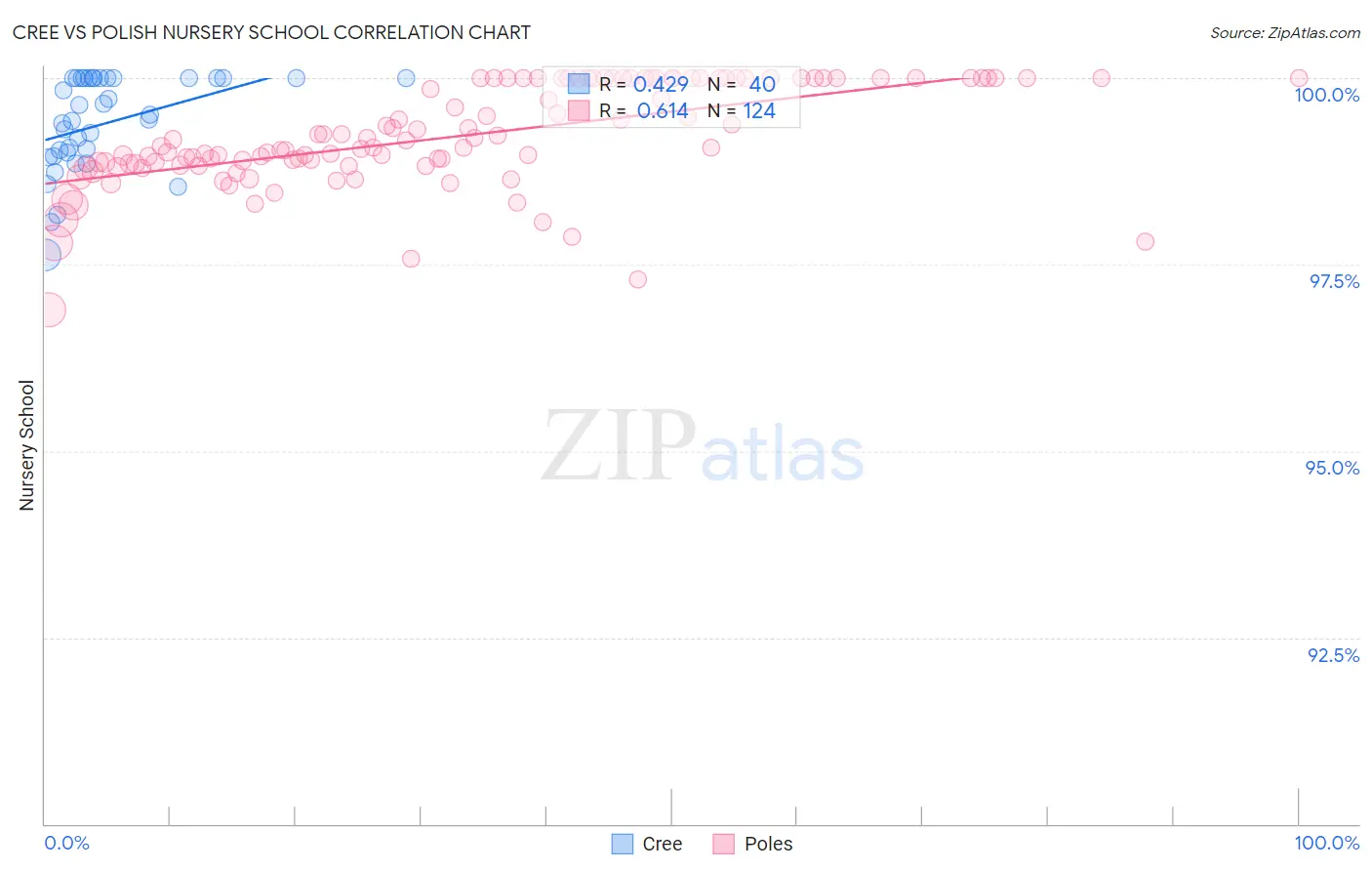 Cree vs Polish Nursery School