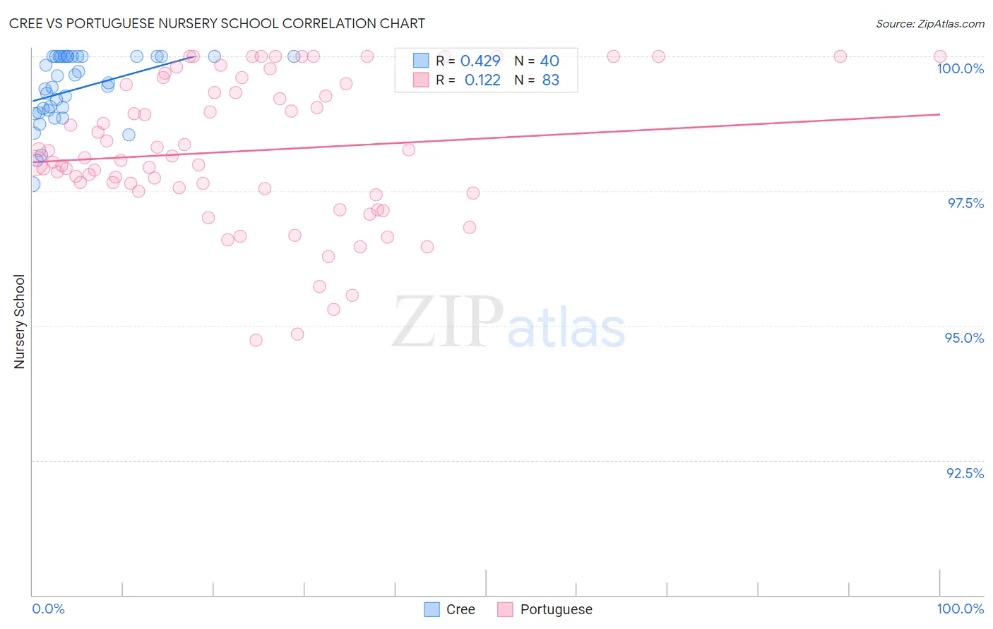 Cree vs Portuguese Nursery School