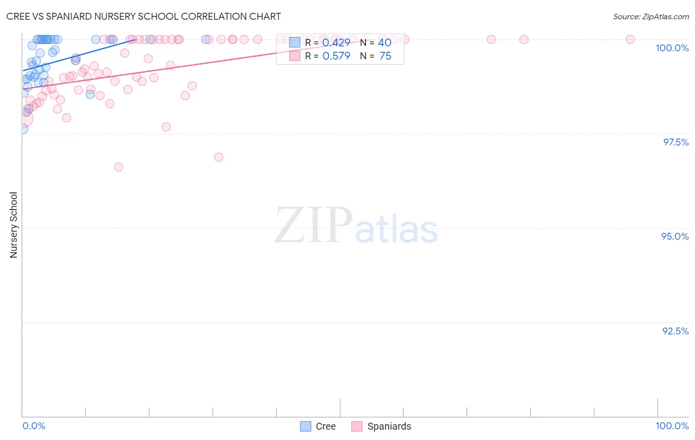 Cree vs Spaniard Nursery School
