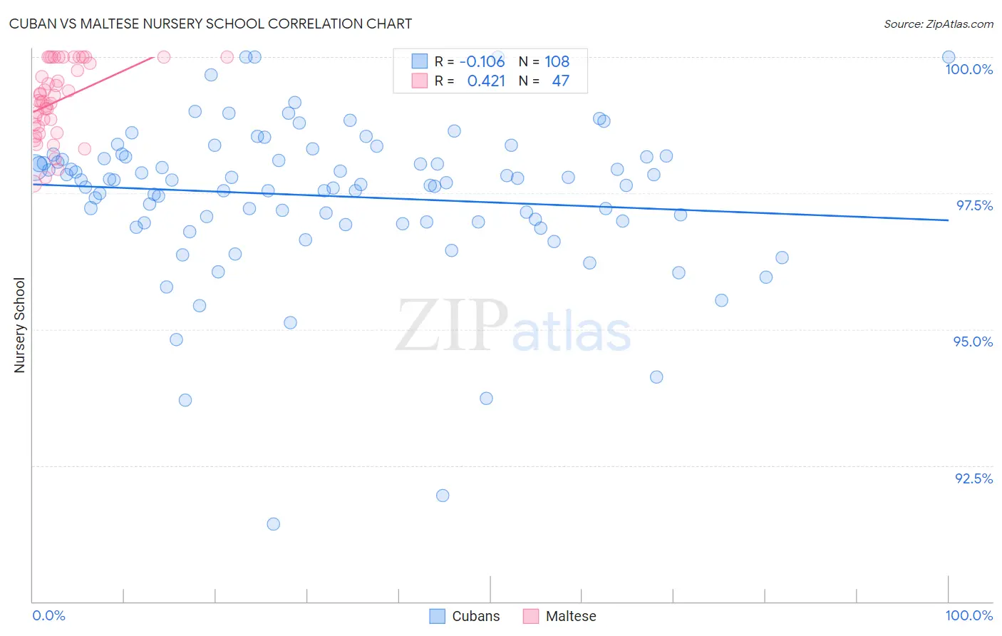 Cuban vs Maltese Nursery School